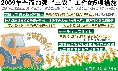 圖表:2009年全面加強“三農(nóng)”工作的5項措施 新華社發(fā)