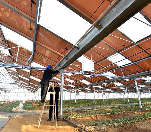 3月14日,國家電網(wǎng)山東即墨供電公司職工在光伏大棚里進行并網(wǎng)發(fā)電的技術(shù)維護。新華社發(fā)(寧友鵬 攝)