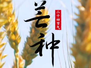芒種.jpg-300.jpg