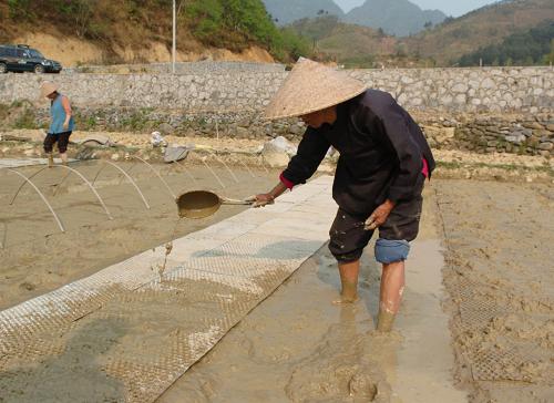 3月20日,河池市東蘭縣武篆鎮(zhèn)農(nóng)民在進行旱育秧。 新華社記者 李斌 攝