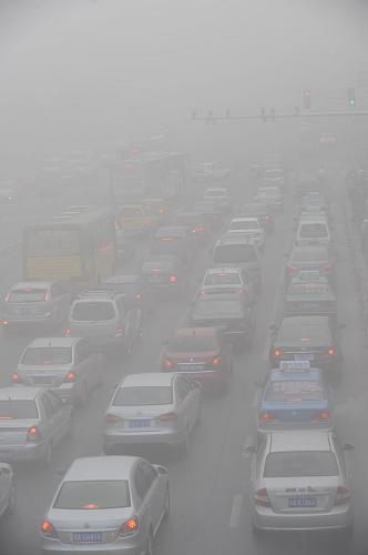 10月9日清晨,合肥街頭大霧籠罩,車輛在霧中緩慢行駛。新華社發(fā)(楊曉原 攝)