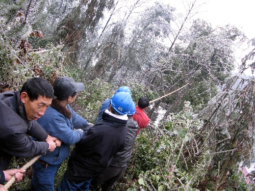 1月21日,湖南婁底電業(yè)局員工在500千伏輸電線路附近清除樹上積雪,保護(hù)電網(wǎng)安全。從1月15日至21日中午,湖南省遭遇多年未遇的大雪、嚴(yán)寒、冰凍侵襲,導(dǎo)致電網(wǎng)輸變電設(shè)施大面積覆冰,對(duì)電網(wǎng)安全構(gòu)成嚴(yán)重威脅。湖南省電力部門啟動(dòng)預(yù)警和應(yīng)急機(jī)制,緊急動(dòng)員8000多名職工,在益陽(yáng)、婁底、張家界、常德、岳陽(yáng)和湘西等降雪冰凍中心區(qū)進(jìn)行人工除冰,保障電網(wǎng)運(yùn)行安全。