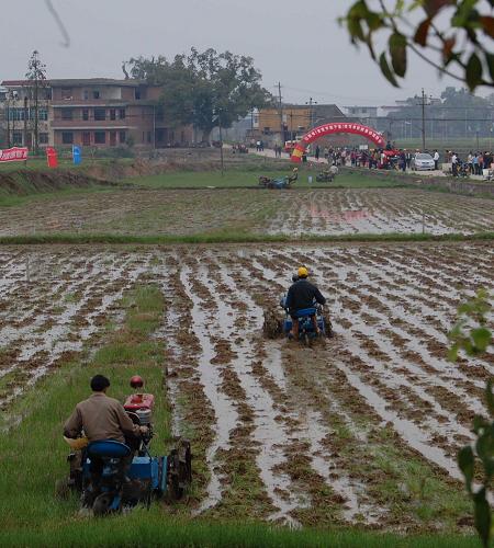 3月19日,江西新干縣農(nóng)機(jī)手駕駛著農(nóng)機(jī)在田間作業(yè),拉開了春耕生產(chǎn)的序幕。春耕時(shí)節(jié),江西將開展“百萬(wàn)農(nóng)機(jī)鬧春耕”活動(dòng),通過補(bǔ)貼農(nóng)機(jī)具集中發(fā)放、組織農(nóng)機(jī)維修服務(wù)小分隊(duì)深入鄉(xiāng)村地頭對(duì)耕整機(jī)、插秧機(jī)等進(jìn)行檢修保養(yǎng),確保百萬(wàn)農(nóng)機(jī)具投入春耕生產(chǎn),力爭(zhēng)全省早稻機(jī)耕面積達(dá)到1650萬(wàn)畝,機(jī)插早稻面積100萬(wàn)畝。