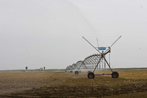 5月12日,大型噴灌機在鄂爾多斯市達拉特旗白泥井鎮(zhèn)一處現(xiàn)代農(nóng)業(yè)示范基地里作業(yè)。新華社記者 王欲鳴 攝