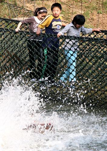 10月6日,游人在南京“橋樂園”里走“繩橋”練膽量。新華社發(fā)(王新 攝)