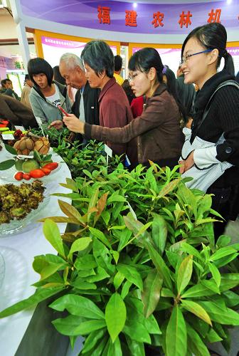 11月6日,觀眾在第六屆海峽兩岸林業(yè)博覽會(huì)暨投資貿(mào)易洽談會(huì)上參觀苗木。新華社記者 張國(guó)俊 攝