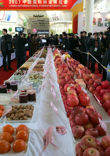 12月20日拍攝的各種參評(píng)奧運(yùn)推薦果品的水果、食品。新華社發(fā)