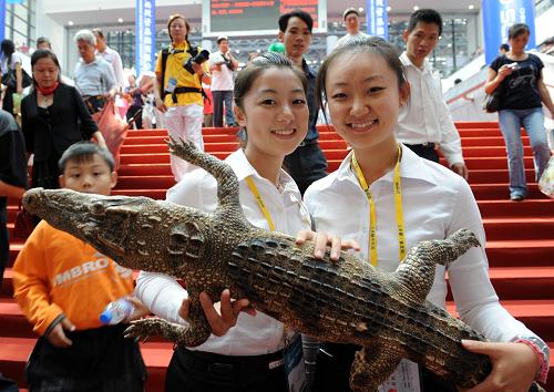 10月25日,兩位女青年在展示在博覽會(huì)上購買的鱷魚標(biāo)本。新華社記者劉廣銘攝