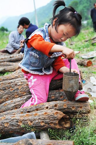 陜西省略陽(yáng)縣九中金鄉(xiāng)埡河村4歲半的徐媛媛在幫舅舅的段木點(diǎn)菌(5月4日攝)。新華社記者陶明攝