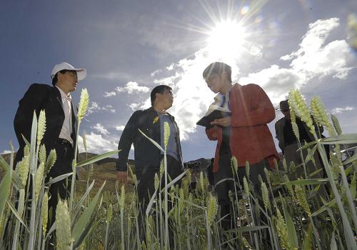 6月17日,西藏自治區(qū)下派工作組在田間地頭指導(dǎo)抗旱工作。 入夏以來,由于降水量偏少,氣溫持續(xù)偏高,西藏出現(xiàn)大面積中度旱情,西藏首次啟動了《西藏自治區(qū)防抗干旱災(zāi)害應(yīng)急預(yù)案》Ⅲ級響應(yīng)。西藏自治區(qū)防汛抗旱指揮部要求拉薩市和山南、日喀則、昌都等旱情嚴峻的地區(qū),根據(jù)旱情和災(zāi)情緊急部署,全力做好當(dāng)前的抗旱工作,并要求各地盡快恢復(fù)或搶修現(xiàn)有機井、提灌站等水利設(shè)施,努力提高抗旱供水能力。 新華社記者 普布扎西 攝