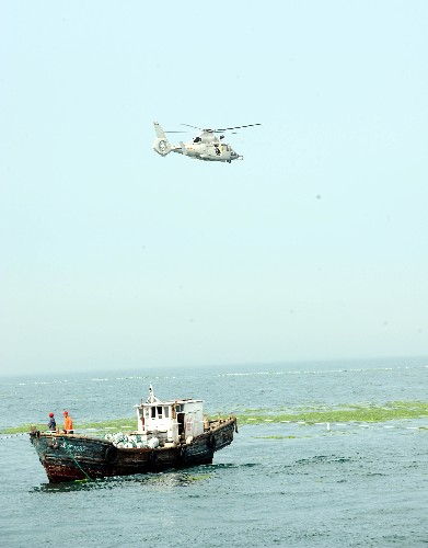 7月10日,直升機在奧帆賽水域上空巡查滸苔的分布情況。目前,青島各界在岸邊與海上繼續(xù)清理滸苔,奧帆賽競賽水域大部分滸苔已被清除。截至7月10日,青島海域累計清理滸苔65.54萬噸。新華社記者 范長國 攝