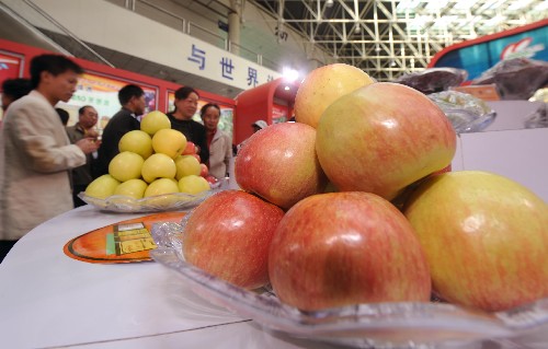 10月10日,幾位客商在參觀產(chǎn)自新疆阿克蘇地區(qū)的蘋果。當(dāng)日,第三屆新疆特色林果產(chǎn)品博覽會在烏魯木齊開幕。近年新疆特色林果產(chǎn)業(yè)的面積、產(chǎn)量、效益連創(chuàng)新高,哈密瓜、吐魯番葡萄、庫爾勒香梨等特色名優(yōu)果品暢銷海內(nèi)外,帶動了當(dāng)?shù)剞r(nóng)民增收致富。新華社記者 趙戈 攝