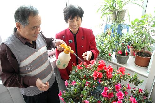 12月21日,天津市津南區(qū)咸水沽鎮(zhèn)益華里居民李家有(左)夫婦在家中為花噴水。為了盡量減輕百姓的熱費負(fù)擔(dān),天津市提出今年供熱季只適當(dāng)提高熱價,同時加大財政補貼力度、增加供熱企業(yè)燃煤補貼,保證供熱平穩(wěn)。天津市財政局介紹,在供熱價格調(diào)整和補貼方案尚未出臺前,市財政已先行撥付部分專項資金2億元,對供熱企業(yè)預(yù)撥補貼,同時各區(qū)縣政府按照1:1的比例配套資金,專項用于支持供熱企業(yè)采購和儲備煤炭。到11月15日正式供熱開始,所有供熱單位全部啟動,200多萬戶居民家的暖氣都熱了起來。新華社記者 劉海峰 攝