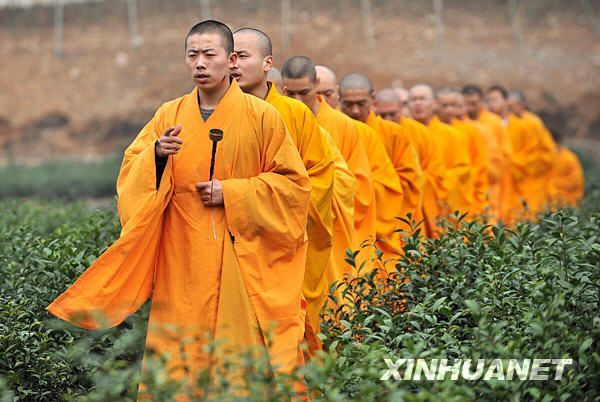 杭州法凈寺的僧人在“灑凈儀式”上。3月19日,杭州古剎法凈寺的僧人開(kāi)始在寺院的龍井茶地里采摘“法凈禪茶”。“法凈禪茶”出于“西湖龍井茶”一系,是杭州法凈寺的僧人自種、自采、自炒和自用的有機(jī)綠茶。禪茶是佛家“以茶悟道”的一種特有茶文化,來(lái)源于“茶禪一味、茶僧一緣、茶寺一體”之說(shuō)。
