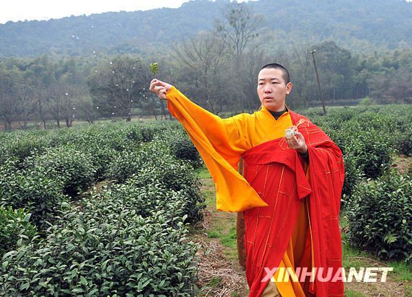 3月19日,杭州法凈寺的一位僧人在“法凈禪茶”采摘前進(jìn)行“灑凈儀式”。