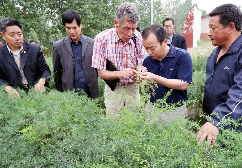 6月3日,荷蘭農(nóng)業(yè)專(zhuān)家揚(yáng)·波爾在江蘇贛榆縣歡墩鎮(zhèn)黃泥溝村無(wú)公害蘆筍基地傳授技術(shù)。新華社發(fā)(司偉 攝)