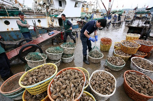 6月11日,浙江省舟山國際水產(chǎn)城碼頭格外忙碌,大批漁船載著最后一批魚貨陸續(xù)進港。新華社發(fā) (胡社友 攝)