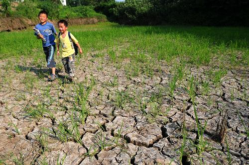 6月5日,南充市嘉陵區(qū)龍蟠鎮(zhèn)大白山村兩位放學(xué)的孩子從一塊干涸開裂的水田中走過。進(jìn)入5月以來,由于降雨強(qiáng)度很小,四川南充降雨總量普遍比往年同期偏少,西充、嘉陵、順慶、高坪、蓬安等部分縣區(qū)出現(xiàn)夏旱,部分稻田出現(xiàn)干涸開裂。目前南充各級政府正采取措施,減少夏旱對農(nóng)業(yè)造成的損害。 新華社發(fā)(成潮生 攝)