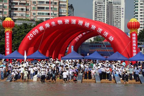 7月10日,“2009南海生物資源增殖放流活動”在廣東省珠海市吉大海邊舉行。此次活動共放流海龜、石斑魚等南海生物苗種950萬尾,其中海龜666只,紅笛鯛、石斑魚等魚類苗種200萬尾,巴非蛤750萬只。此外,7只安置了衛(wèi)星定位儀的大海龜也被放歸大海,相關(guān)研究機構(gòu)希望通過跟蹤大海龜?shù)匿в温肪€來研究其生活習(xí)性。 新華社發(fā)(席湖 攝)