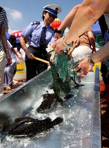 7月10日,在廣東珠海吉大海邊舉行的“2009南海生物資源增殖放流活動”上,漁政工作人員將多種海洋生物放回大海。新華社發(fā)(席湖 攝)