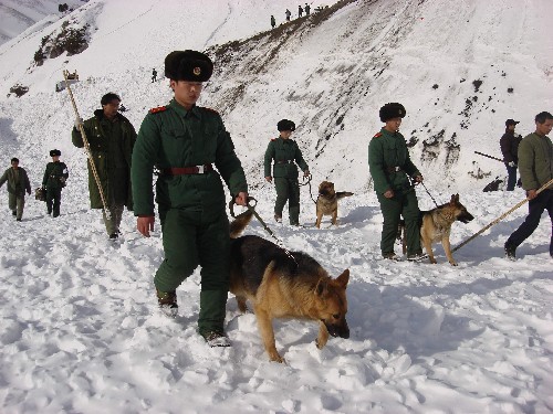 3月16日,在新疆各方的全力配合下,救援人員再次發(fā)現(xiàn)一具遇難者遺體。但惡劣的天氣使救援工作被迫暫停。截至當日13時,22名遭遇雪崩的施工人員中,已發(fā)現(xiàn)3具遇難者遺體,仍有13人下落不明,獲救的6人目前精神狀況良好,身體在快速恢復(fù)中。 新華社發(fā)(王鵬攝)