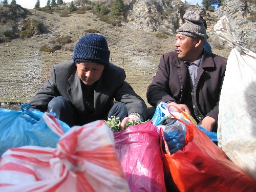 3月16日,由于雪崩和泥石流阻路,送菜工人焦急地等待上山。