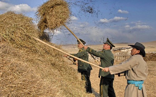 呼倫貝爾邊防支隊的干警幫助鄂溫克族牧民儲備抗旱飼草(5月7日攝)。