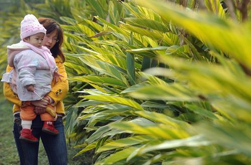 1月14日,一位市民抱著小孩,在云陽(yáng)縣濱江公園游玩。新華社記者 李曉果 攝