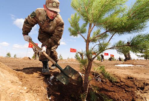 萬(wàn)余軍民義務(wù)植樹(shù)治理京津風(fēng)沙源 4月28日,一名戰(zhàn)士在商都植樹(shù)基地種樹(shù)。 北京軍區(qū)、內(nèi)蒙古自治區(qū)近日聯(lián)合在京津風(fēng)沙源治理商都義務(wù)植樹(shù)基地舉行為期一周的義務(wù)植樹(shù)活動(dòng),計(jì)劃完成植樹(shù)面積1.2萬(wàn)畝。內(nèi)蒙古商都縣距北京360公里,屬于京津風(fēng)沙源重點(diǎn)治理區(qū)。自2008年開(kāi)始,北京軍區(qū)、內(nèi)蒙古自治區(qū)聯(lián)合實(shí)施京津風(fēng)沙源治理商都義務(wù)植樹(shù)基地建設(shè)工程,計(jì)劃利用5年時(shí)間在商都縣建設(shè)義務(wù)植樹(shù)綠化基地植樹(shù)5.5萬(wàn)畝、246.35萬(wàn)株。 新華社記者 任軍川攝