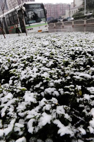 今年入冬以來(lái)的首場(chǎng)雪為長(zhǎng)沙城披上了素裝(12月15日攝)。新華社記者 龍弘濤 攝