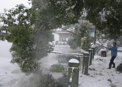 2月2日,一位園林工人正在杭州西湖邊清理樹上的積雪,湖面上散落著折斷的枝條。 新華社記者 岳德亮 攝