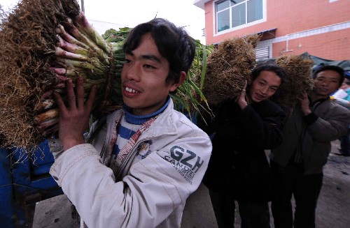 2月4日,在貴陽市烏當(dāng)區(qū)永樂鄉(xiāng),農(nóng)民們正運(yùn)送供應(yīng)貴陽市區(qū)居民的蔬菜。 新華社記者 楊楹 攝