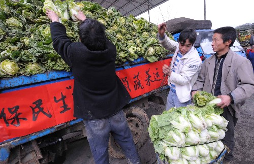 2月4日,在貴陽市烏當(dāng)區(qū)永樂鄉(xiāng),農(nóng)民們正運(yùn)送供應(yīng)貴陽市區(qū)居民的蔬菜。 新華社記者 楊楹 攝