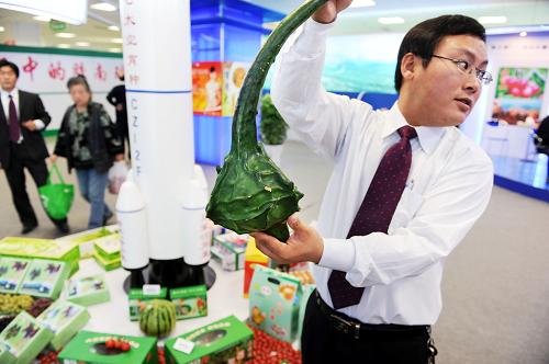 10月26日,工作人員在展示太空育種的鵝頭葫蘆。新華社記者 李紫恒 攝