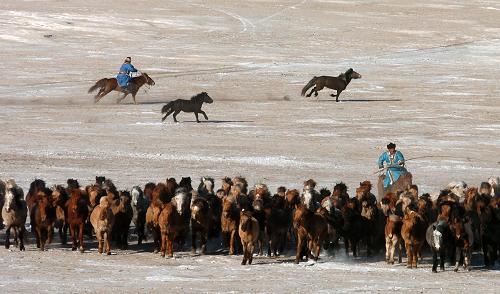 牧人在內(nèi)蒙古西烏珠穆沁旗境內(nèi)雪原上牧馬(2008年2月攝)。自2000年以來(lái),國(guó)家啟動(dòng)京津風(fēng)沙源治理工程,內(nèi)蒙古自治區(qū)累計(jì)投入生態(tài)建設(shè)資金170多億元,生態(tài)治理總面積超過(guò)2.7億畝。截至2008年年初,內(nèi)蒙古自治區(qū)森林總面積居全國(guó)第一位,森林覆蓋率達(dá)到17.5%,已初步建設(shè)成為我國(guó)北方最重要的生態(tài)屏障。 新華社記者 張領(lǐng) 攝