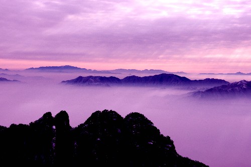 2月8日,黃山群峰霧氣飄渺,云蒸霞蔚。新華社發(fā)(潘成 攝)