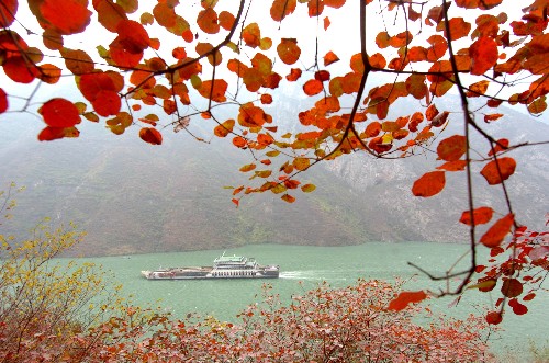 11月30日,一艘客運船從長江巫峽段駛過。由于長江三峽段蓄水水位提升,如期而至的三峽紅葉與上漲的庫區(qū)碧水交相輝映。 權威專家表示,在三峽工程建設過程中,國家投入數(shù)百億元資金進行庫區(qū)的地質災害治理、興建了50多座污水處理廠和40多座垃圾處理廠,三峽庫區(qū)水質穩(wěn)定,蓄水對水庫周邊地區(qū)的氣候影響非常有限,三峽工程對生態(tài)環(huán)境的影響利大于弊。 新華社記者楊磊攝