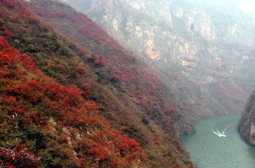 11月30日,一艘客運船從長江小三峽巴霧峽段駛過。由于長江三峽段蓄水水位提升,如期而至的三峽紅葉與上漲的庫區(qū)碧水交相輝映。 權威專家表示,在三峽工程建設過程中,國家投入數(shù)百億元資金進行庫區(qū)的地質災害治理、興建了50多座污水處理廠和40多座垃圾處理廠,三峽庫區(qū)水質穩(wěn)定,蓄水對水庫周邊地區(qū)的氣候影響非常有限,三峽工程對生態(tài)環(huán)境的影響利大于弊。 新華社記者楊磊攝
