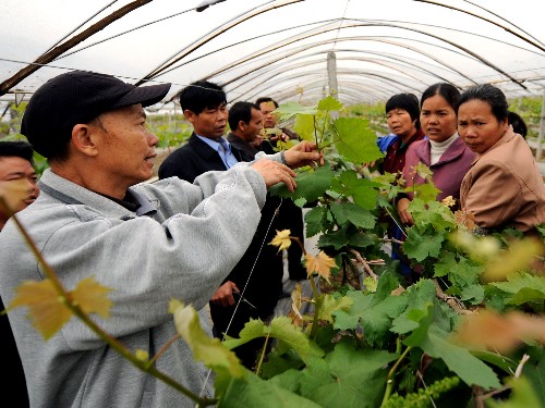 4月4日,海峽兩岸(廣西玉林)農(nóng)業(yè)合作試驗區(qū)農(nóng)業(yè)技術(shù)員(前左)在向當(dāng)?shù)毓r(nóng)傳授水果栽培技術(shù)。 海峽兩岸(廣西玉林)農(nóng)業(yè)合作試驗區(qū)成立于2006年4月15日,面積12832平方公里。目前,試驗區(qū)已有47家企業(yè)(基地)掛牌生產(chǎn),創(chuàng)造產(chǎn)值已超100億元,成為廣西進(jìn)行海峽兩岸農(nóng)業(yè)合作交流的重要平臺。 新華社記者張愛林?jǐn)z