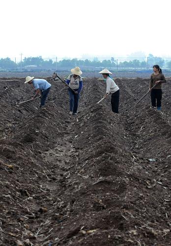 雨后忙春耕 4月2日,耿馬縣勐撒鎮(zhèn)村民在整地準備種煙苗。 在久旱雨后的云南省臨滄市耿馬自治縣,農(nóng)民群眾紛紛投入到春耕備耕生產(chǎn)中來,田間地頭車來人往,整地、插秧、運肥料,一派忙碌的春耕景象。 新華社記者 何俊昌 攝