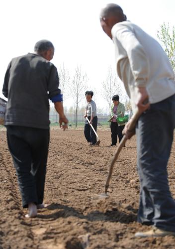 4月9日,河南省中牟縣三官廟鄉(xiāng)農(nóng)民李河來一家正在田間播種花生。新華社記者 趙鵬 攝