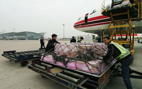 4月10日,西安咸陽國際機場工作人員將貨物上艙。新華社記者 陳昌奇 攝