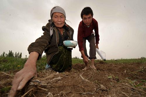 4月23日,在新疆阿圖什市哈拉峻鄉(xiāng)瓊哈拉峻村的田地里,村民進行春播春種工作。4月22日15時26分新疆阿圖什市發(fā)生里氏5.0級地震,震中位于阿圖什市哈拉峻鄉(xiāng)。目前,當(dāng)?shù)剞r(nóng)牧民在進行抗震救災(zāi)的同時,正積極進行春播春種工作。 新華社記者 趙戈 攝