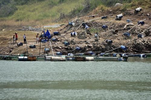 8月10日,在三峽庫區(qū)湖北巴東縣境內(nèi)長江支流龍船河,非法網(wǎng)箱養(yǎng)殖設(shè)備被牽引至岸邊進行拆除。新華社發(fā)(張曉峰 攝)