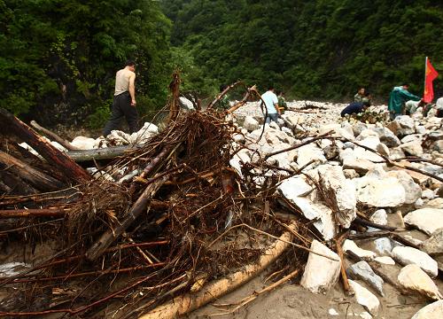 8月10日,被洪水沖到葦沙河鎮(zhèn)錯草村公的樹木和山石堆積在公路上。新華社記者 袁滿 攝