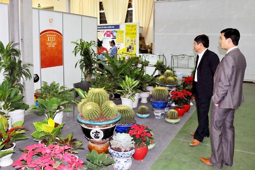 12月1日,在越南河內(nèi)舉行的2010越中農(nóng)產(chǎn)品和手工藝品貿(mào)易博覽會上,參觀者欣賞越南花卉出口企業(yè)展示的花卉。新華社記者 李勍 攝