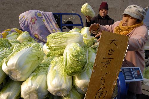 1月13日,在煙臺(tái)市一家農(nóng)貿(mào)市場,市民在選購白菜。新華社記者郭緒雷攝