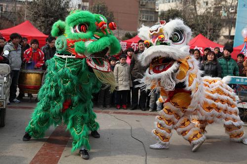 1月26日,在安徽省亳州市區(qū)小游園廣場(chǎng)上,幾位舞獅者在表演“雄獅鬧春”。新華社發(fā)(劉勤利 攝)