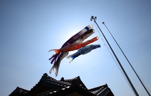 圖為長野一戶人家高高飄揚的鯉魚旗。每當(dāng)五月臨近,當(dāng)?shù)赜心泻⒌募彝Ⅴ庺~旗掛起,希望孩子健康成長。(4月22日攝) 新華社記者任正來攝