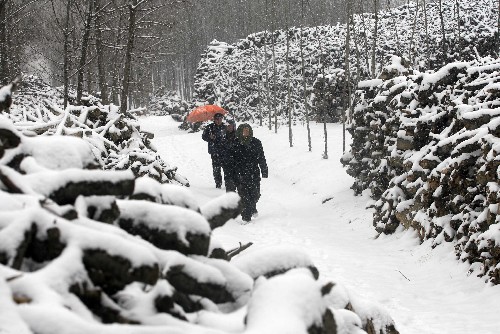 2月24日,平陰縣東阿鎮(zhèn)小屯村被皚皚白雪覆蓋。當(dāng)日,山東省西部部分地區(qū)降下小到中雪。 新華社發(fā)(呂廷川 攝)